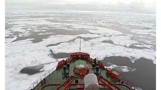 Инфраструктура. Арктика. Главное за неделю