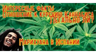 Интересные факты о Марихуане в Испании!