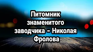 САО / Знаменитый питомник Николая Фролова / История породы