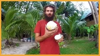 DELICIOUS SPROUTED COCONUT