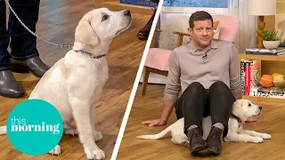 Our This Morning Dog Buddy’s Training as an Autism Assistance Dog | This Morning