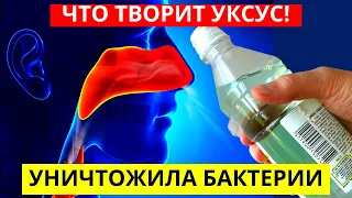 СЕСТРА Пила Яблочный Уксус Натощак И Вот Что Случилось Через Месяц, Даже Не Ожидала Такого…