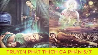 Bạn Có Duyên Với Đức Phật Nghe Kể Chuyện Đêm Khuya Phật Thích Ca Mau Ni Truyện Phật giáoP5