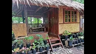 BAMBOO HOUSE  DESIGNS