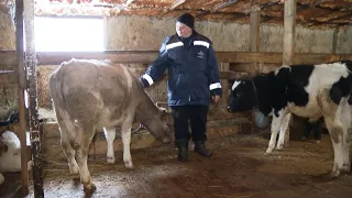 Жители села под Тамбовом превратили небольшое подсобное хозяйство в семейную ферму