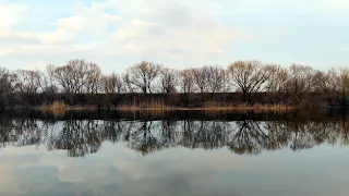 Река Южный Буг возле озера Балластное - село Бугские хутора Николаевская область Украина