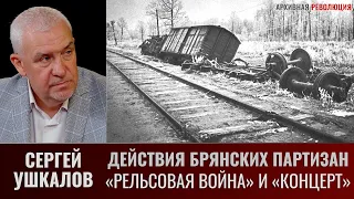 Сергей Ушкалов. Действия брянских партизан в ходе операций "Рельсовая война" и "Концерт". Часть 1