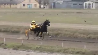 Одесский ипподром. Бега 21.02.16г. Дистанционный зимний 4-х летний приз.