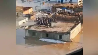 Дома ушли под воду. Людей снимали с крыш на вертолетах МЧС в Костанайской области Казахстана