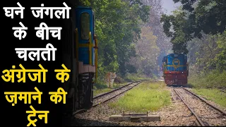 Journey through Dudhwa national park in meter gauge train