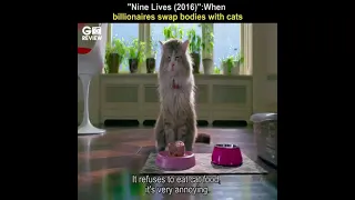 nine lives 2016