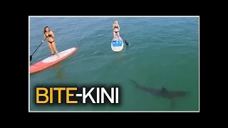 A shark was swimming near his paddleboard. He had no idea until he was shown a picture.