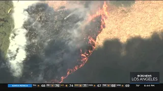 Brush fire burning near homes in San Pedro