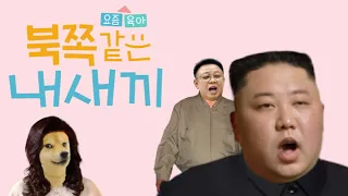 북쪽이의 하루 | 예능패러디