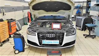 Audi A8 Long 4.2 TDI 2014 - Ошибки по рециркуляции EGR