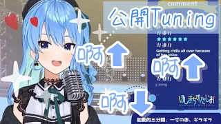 彗醬的可愛公開調音💕【hololive / #星街彗星】