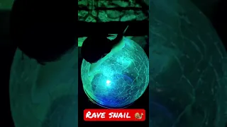 Rave Snail #shorts #rave #snail