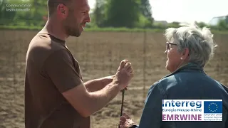 L’ébourgeonnage et l’épamprage de la vigne