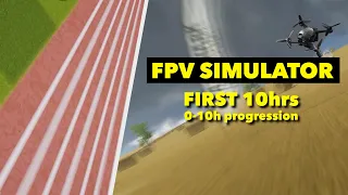 10 Hours of FPV Simulator, This is What Happened