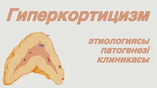 Гиперкортицизм | Патофизиология | Иценко-Кушинг синдромы