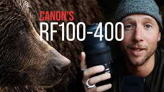 Canon RF100-400mm Lens Review - The Best Lens For The Money!