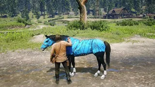 Arthur found a very beautiful horse - Red Dead Redemption 2 Gameplay.