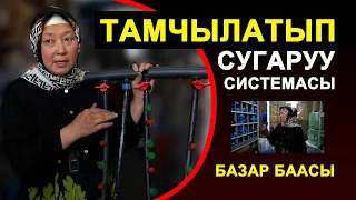 Тамчылатып сугаруу боюнча маалымат издеп жүрсөңөр. Ушул видео жардам. Капельное орошение Кыргызстан