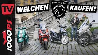 Roller fahren mit dem B-Führerschein! Peugeot Roller Übersicht 2022