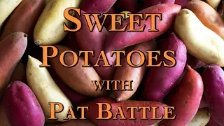 Sweet Potatoes with Pat Battle