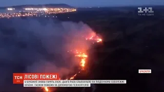 У Бразилії знову горять ліси