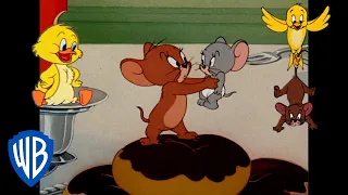 Tom & Jerry in italiano 🇮🇹 | I migliori alleati di Jerry 🐭 | @WBKidsItaliano​