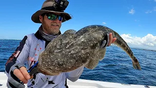 How to target LARGE Flathead | Tips & Tricks