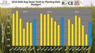 2021 Online Rice Production Meeting