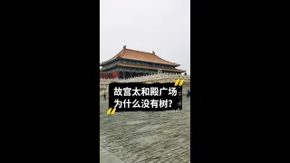 终于知道了故宫的太和殿为什么一棵树也没有 #历史冷知识 #历史故事 #故宫 #皇家大别墅