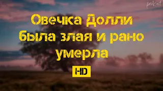 Овечка Долли была злая и рано умерла (2015) - фильм (обзор)