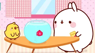 Molang Bahasa | Ikan Mas🐠 | Kartun Lucu Untuk Anak-Anak