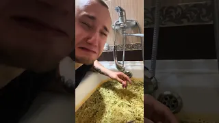 Купил КУЧУ дошиков и заварил их в ВАННЕ 😂🛁