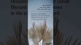 Hymn for Palm Sunday. Full version as video in the channel. #palmsunday #holyweek #syriacorthodox