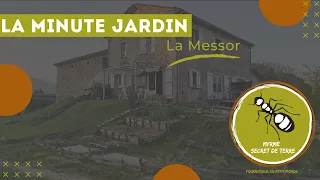 La minute jardin  - Messor