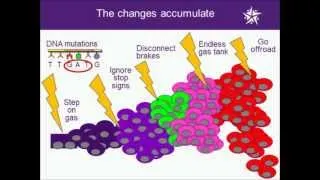 The Biology of Pancreatic Cancer