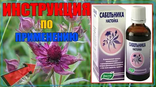 САБЕЛЬНИК НАСТОЙКА ИНСТРУКЦИЯ ПО ПРИМЕНЕНИЮ | САБЕЛЬНИК ПОЛЬЗА, ВРЕД, СВОЙСТВА, ПРОТИВОПОКАЗАНИЯ