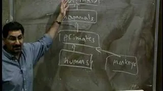 Lecture 4 | Programming Methodology (Stanford)