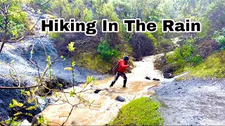 Hiking In The Rain|Limekiln|Lexington Reservoir County Park|Los Gatos, California