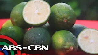 Salamat Dok: Dayap | Cure Mula Sa Nature