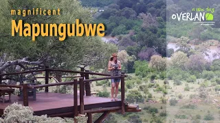 Ep. 2 Mapungubwe National Park