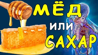 Полезен ли на Самом Деле Мёд? И Сколько Сахара в Мёде | Полезные Советы для Жизни