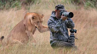 This Lioness Surprised The Photographer In An Unexpected Way