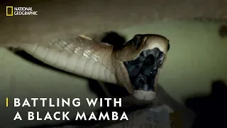 Tackling an Impossible Black Mamba | Snakes in the City | National Geographic