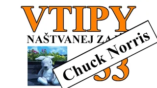 Vtipy 33 - Chuck Norris - Naštvanej zajíc