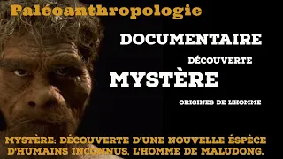 Mystère: L' homme de Maludong, une nouvelle espèce ayant rencontré la notre?